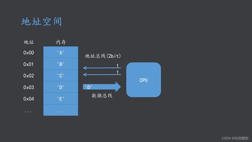 AMRT體系結(jié)構(gòu)與接口技術(shù) 計(jì)算機(jī)軟硬件協(xié)同開發(fā)的理論基石